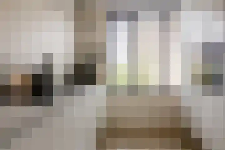 Van 't Hoffplaats 8 Schoonhoven thumbnail 18
