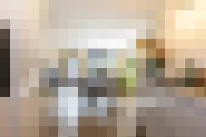 Van 't Hoffplaats 8 Schoonhoven thumbnail 20