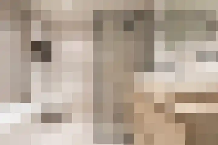 Van 't Hoffplaats 8 Schoonhoven thumbnail 32