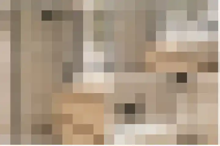 Van 't Hoffplaats 8 Schoonhoven thumbnail 36