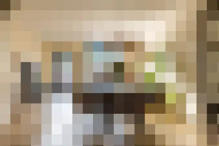 Van 't Hoffplaats 8 Schoonhoven thumbnail 4