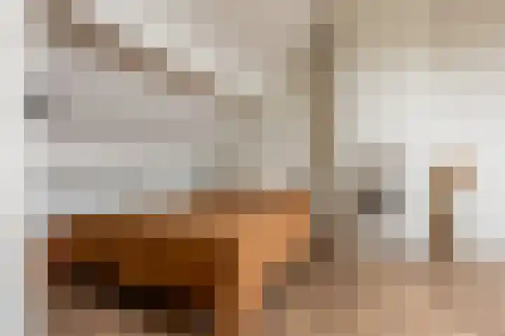 Van 't Hoffplaats 8 Schoonhoven thumbnail 42