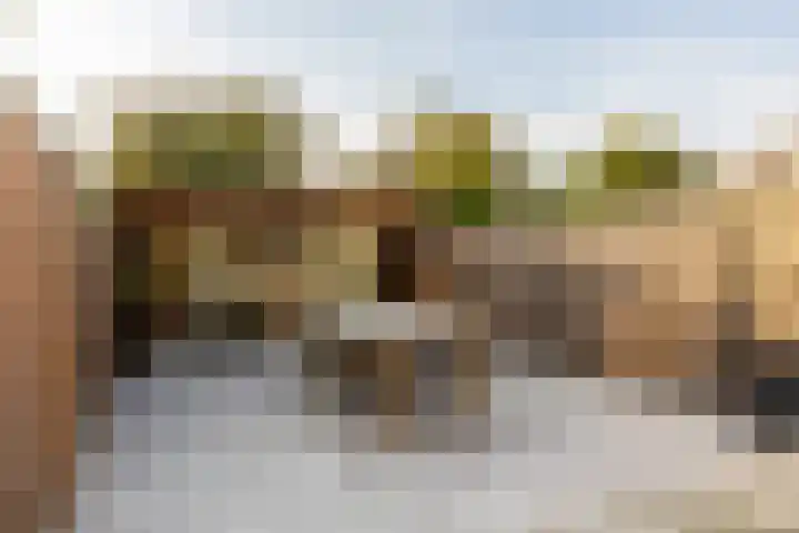 Van 't Hoffplaats 8 Schoonhoven thumbnail 49