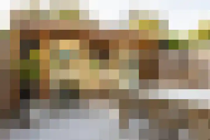 Van 't Hoffplaats 8 Schoonhoven thumbnail 51