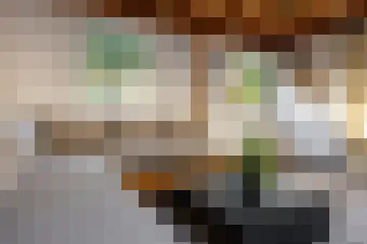 Van 't Hoffplaats 8 Schoonhoven thumbnail 57