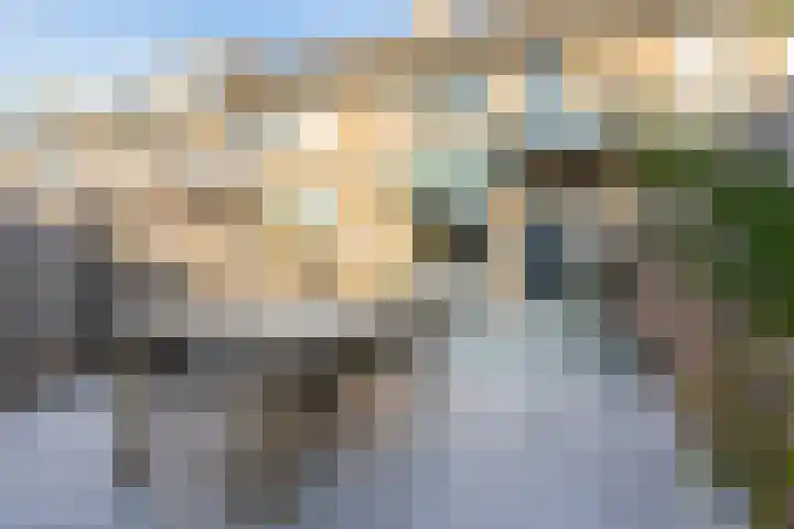 Van 't Hoffplaats 8 Schoonhoven thumbnail 62