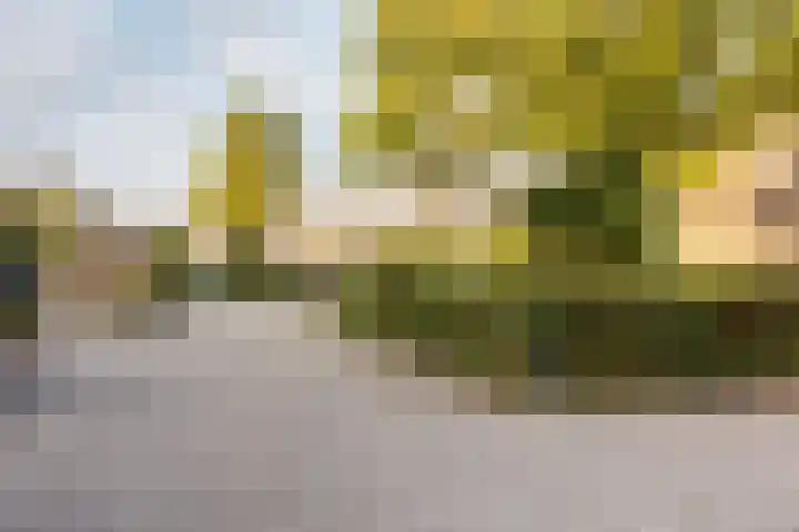 Van 't Hoffplaats 8 Schoonhoven thumbnail 69