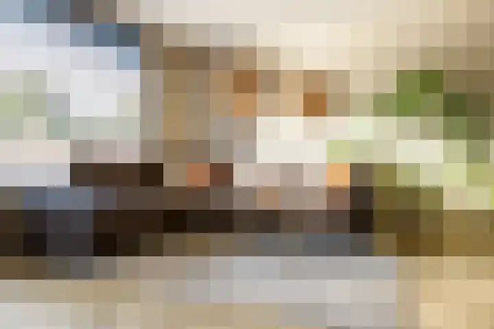 Van 't Hoffplaats 8 Schoonhoven thumbnail 8