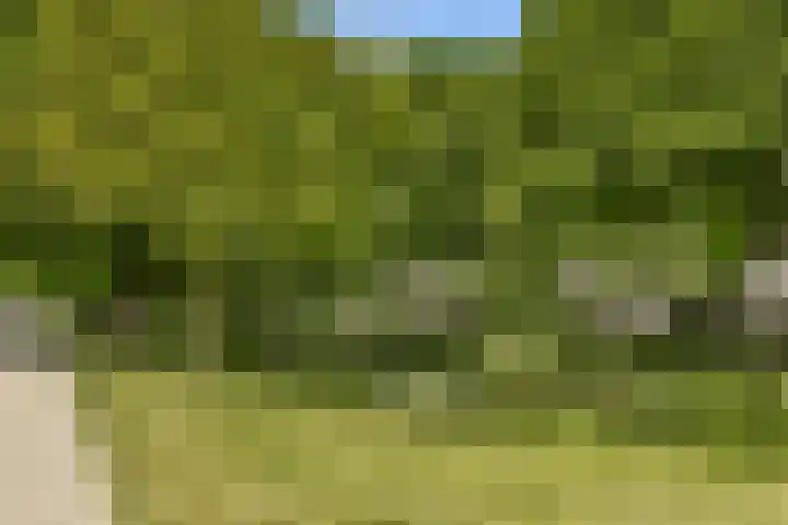 Van 't Hoffplein 13 A 1 Schiedam thumbnail 32