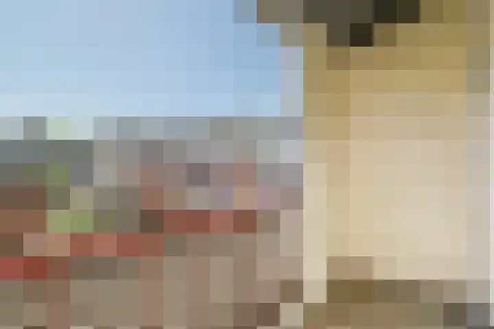 Van 't Hoffplein 13 A 1 Schiedam thumbnail 6