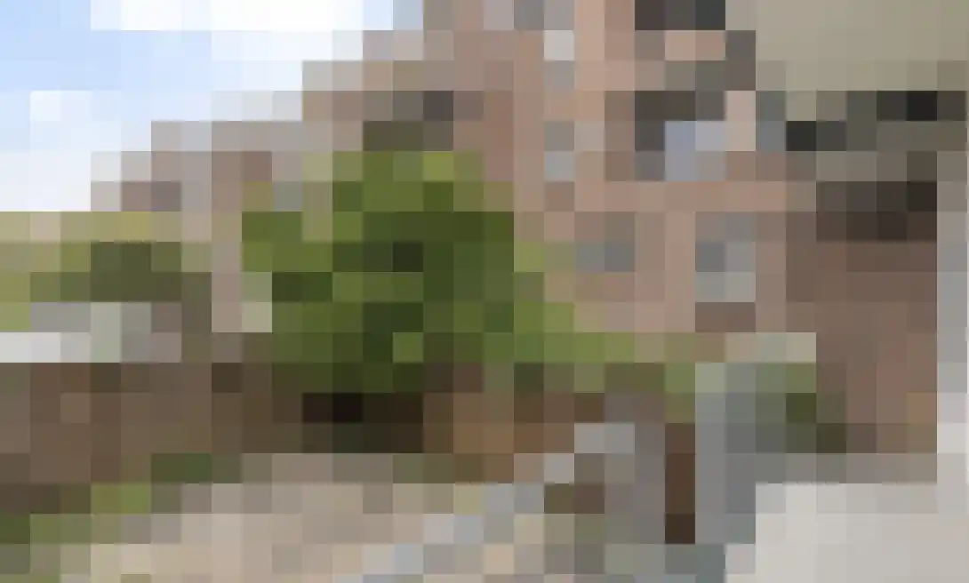 Van 't Hoffplein 5 B Schiedam thumbnail 12