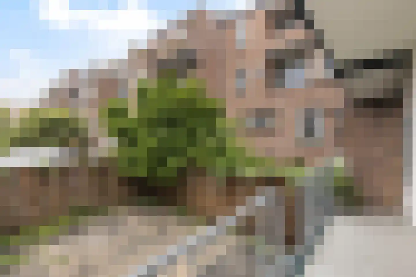 Van 't Hoffplein 5 B Schiedam thumbnail 14