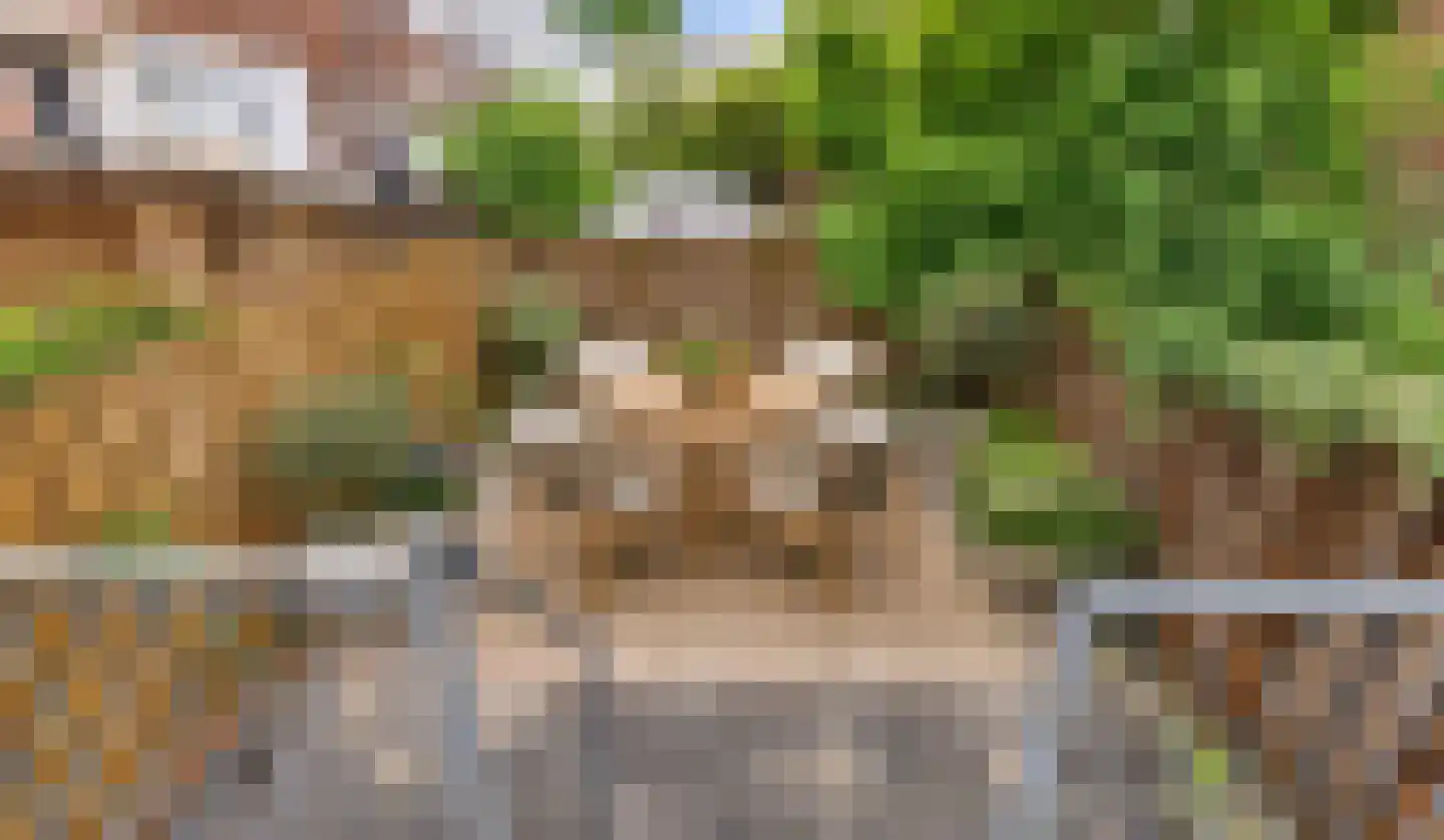 Van 't Hoffplein 5 B Schiedam thumbnail 15