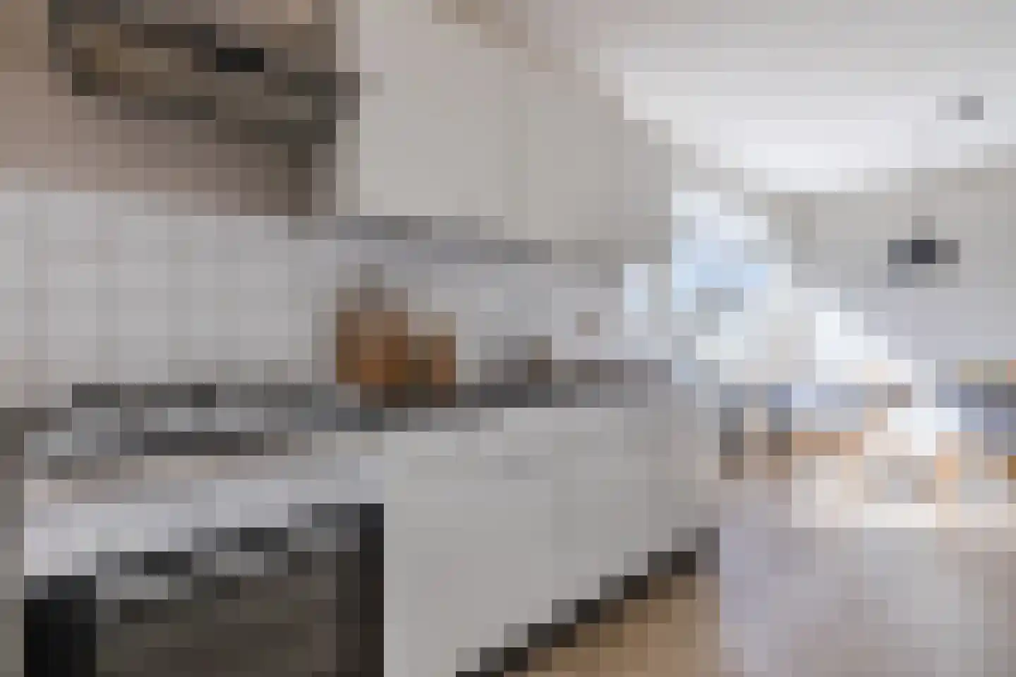 Van 't Hoffstraat 1 II Wageningen thumbnail 18