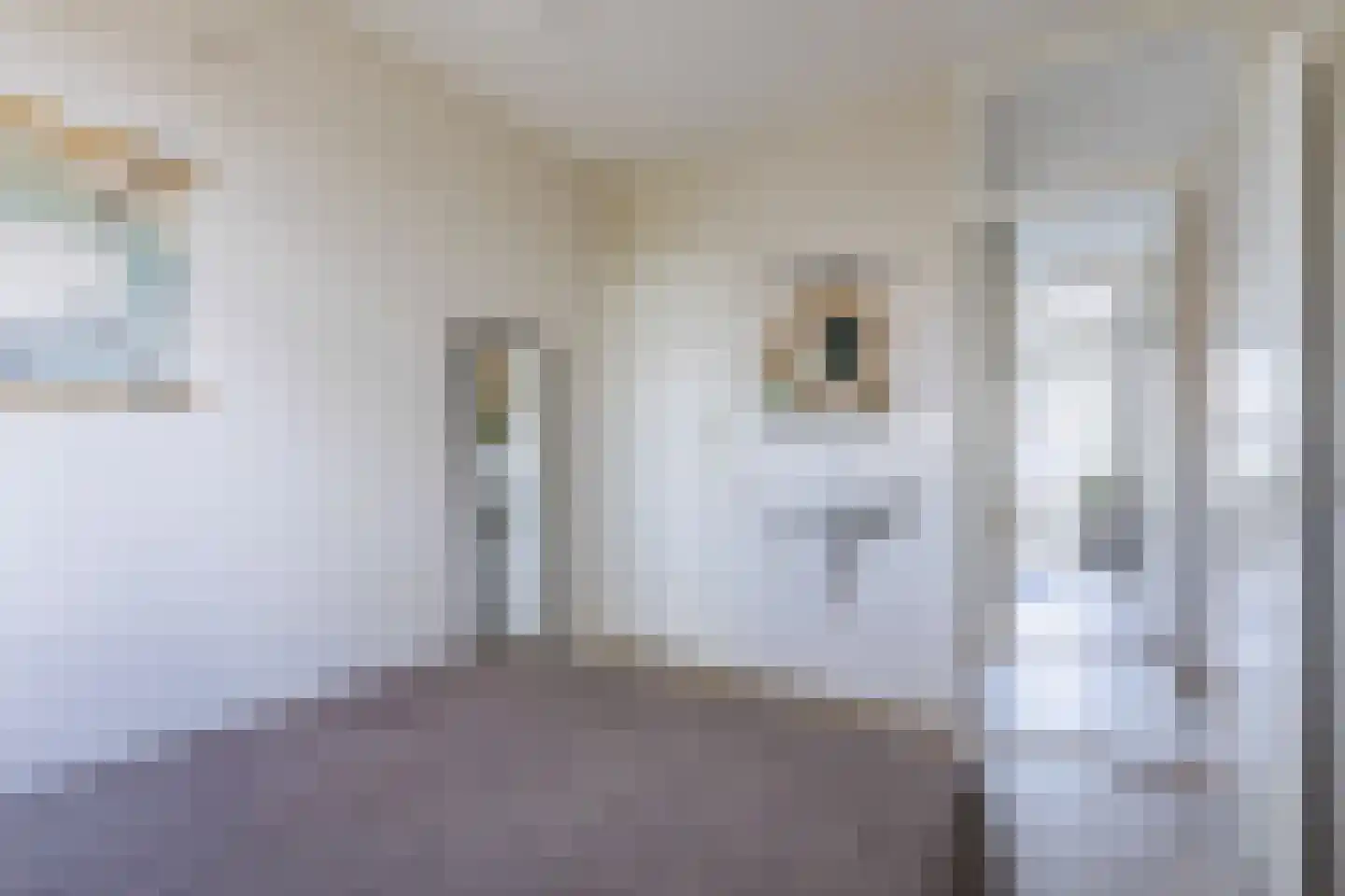 Van 't Hoffstraat 1 II Wageningen thumbnail 22