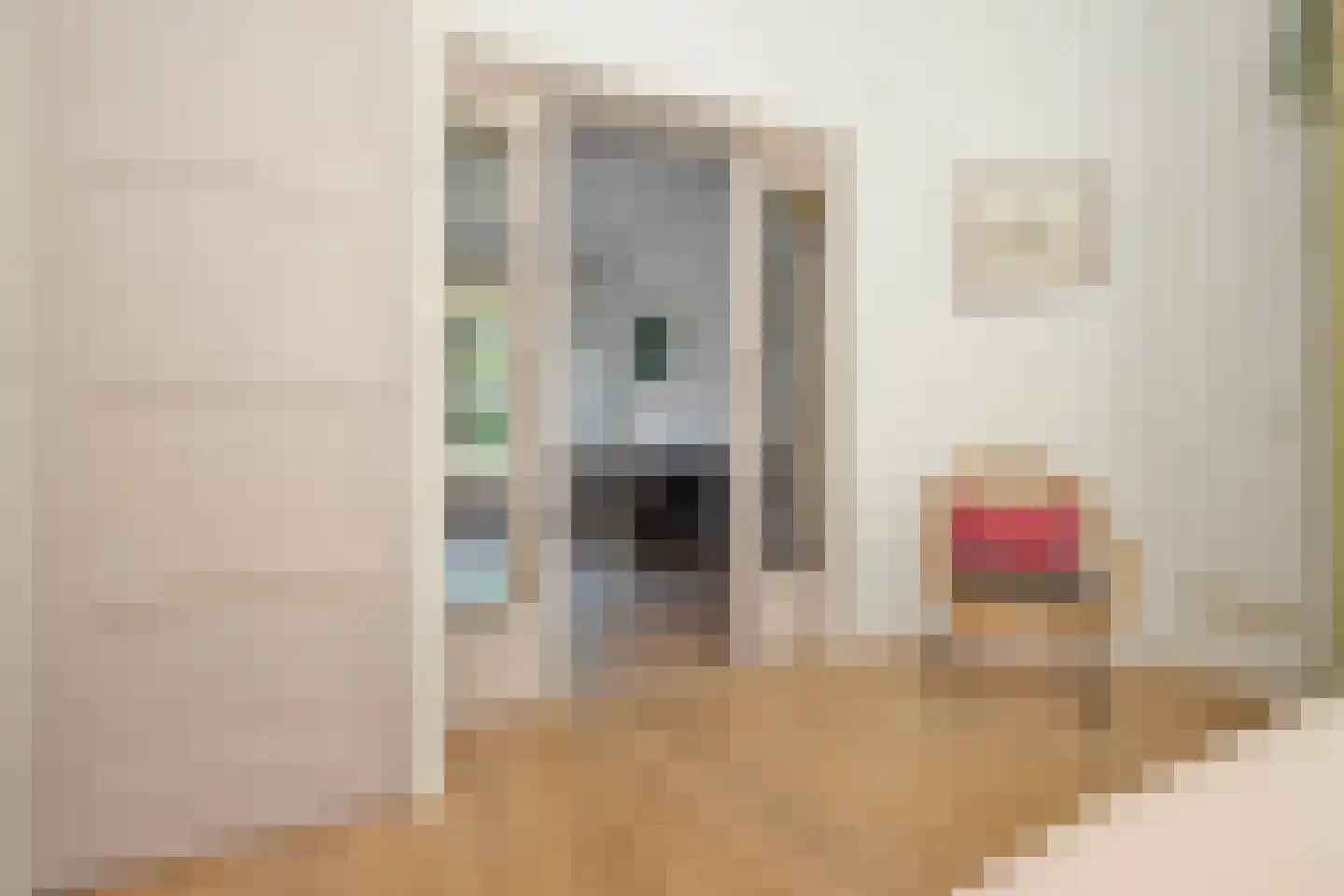 Van 't Hoffstraat 1 Leiden thumbnail 4