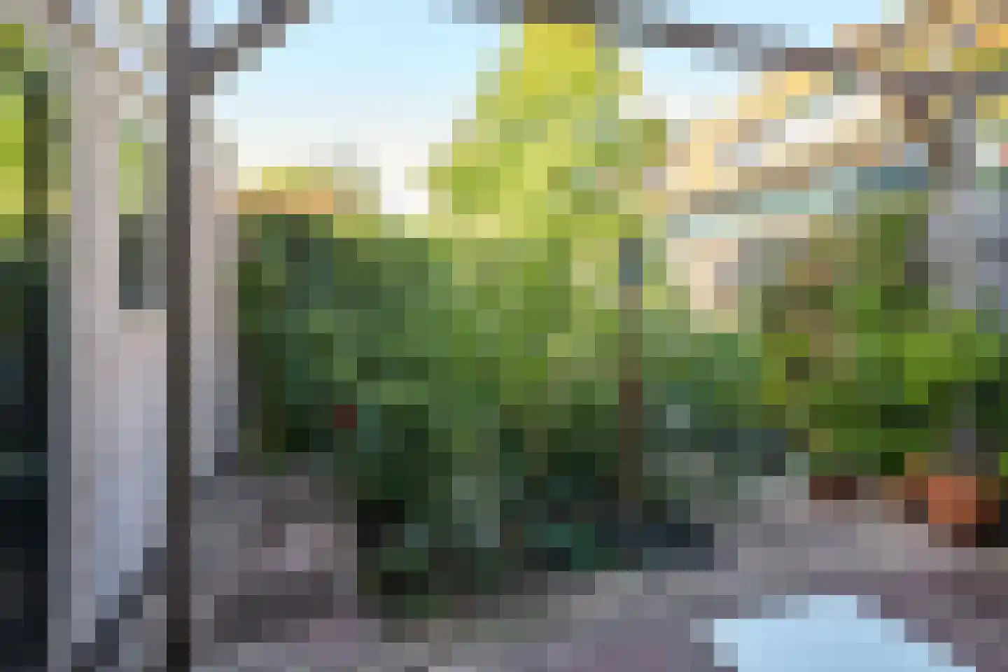 Van 't Hoffstraat 1 Leiden thumbnail 9