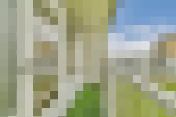 Van 't Hoffstraat 10 Vlaardingen thumbnail 15