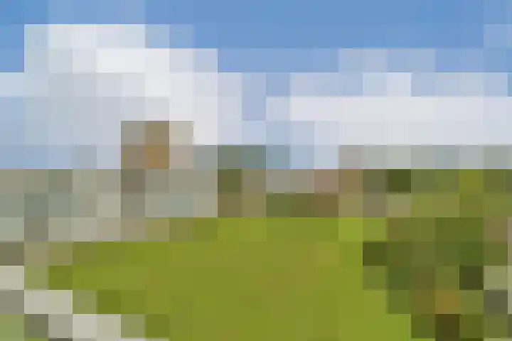 Van 't Hoffstraat 10 Vlaardingen thumbnail 16