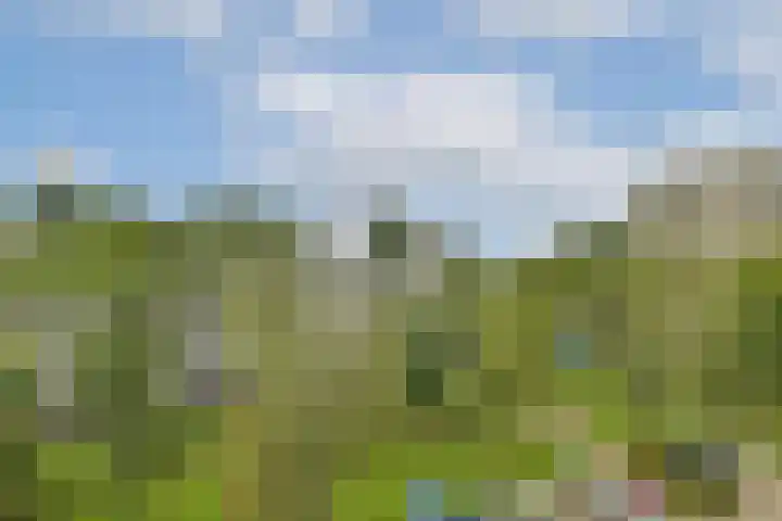Van 't Hoffstraat 10 Vlaardingen thumbnail 17