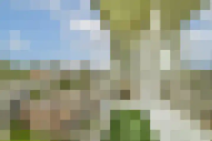Van 't Hoffstraat 10 Vlaardingen thumbnail 18