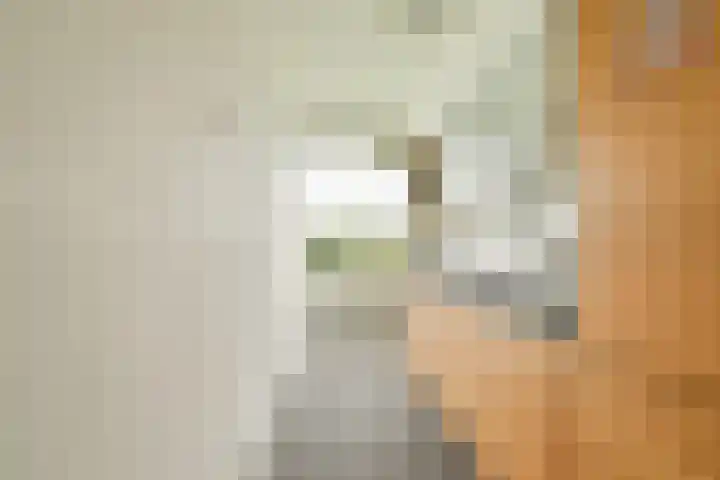 Van 't Hoffstraat 10 Vlaardingen thumbnail 20