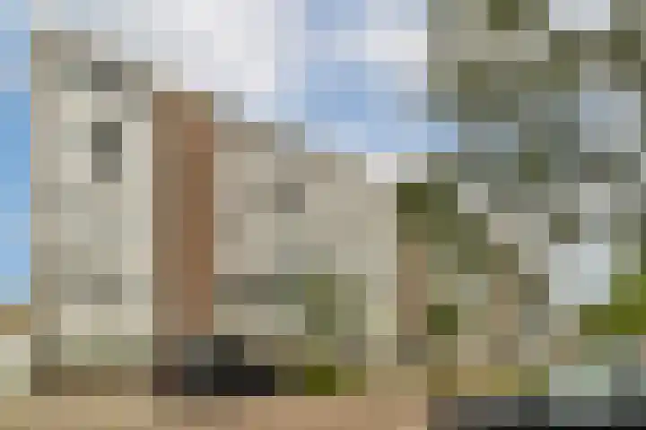 Van 't Hoffstraat 10 Vlaardingen thumbnail 26