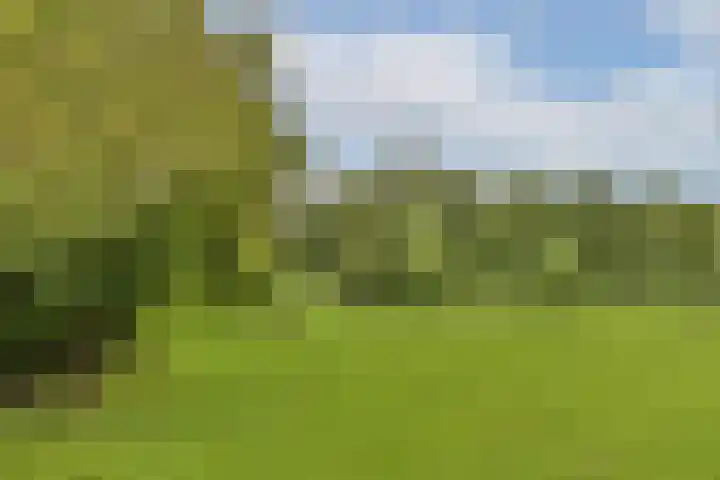Van 't Hoffstraat 10 Vlaardingen thumbnail 29