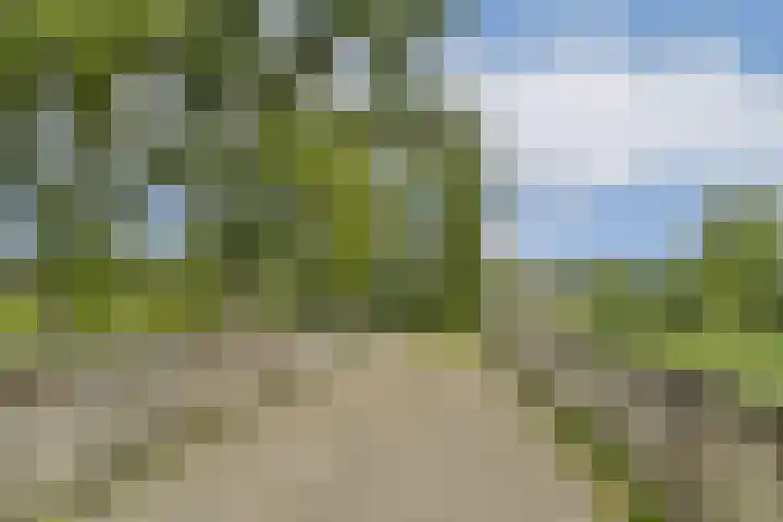 Van 't Hoffstraat 10 Vlaardingen thumbnail 30