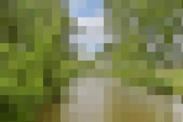 Van 't Hoffstraat 10 Vlaardingen thumbnail 31