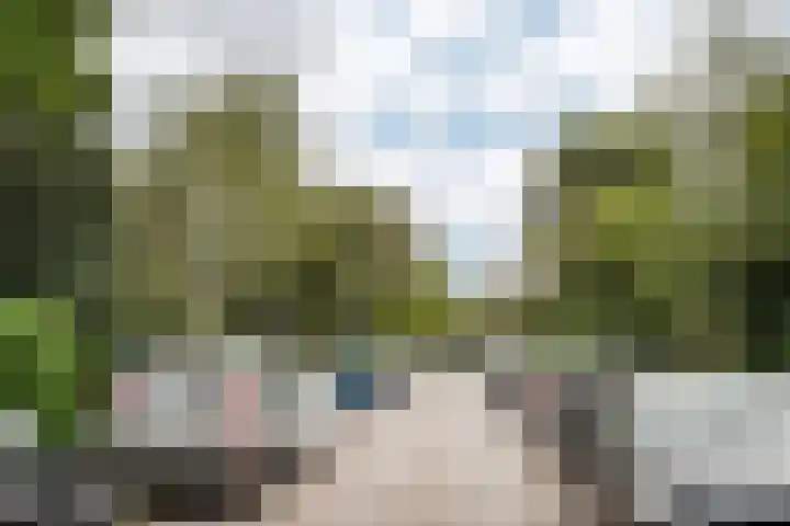 Van 't Hoffstraat 103 Haarlem thumbnail 31