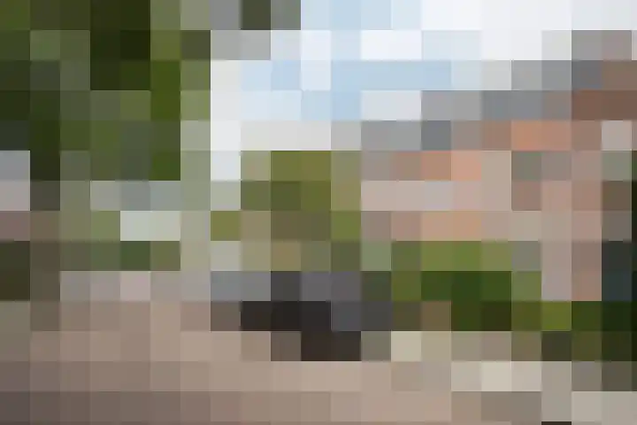 Van 't Hoffstraat 103 Haarlem thumbnail 32