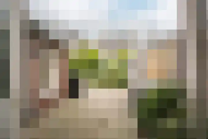 Van 't Hoffstraat 103 Haarlem thumbnail 4
