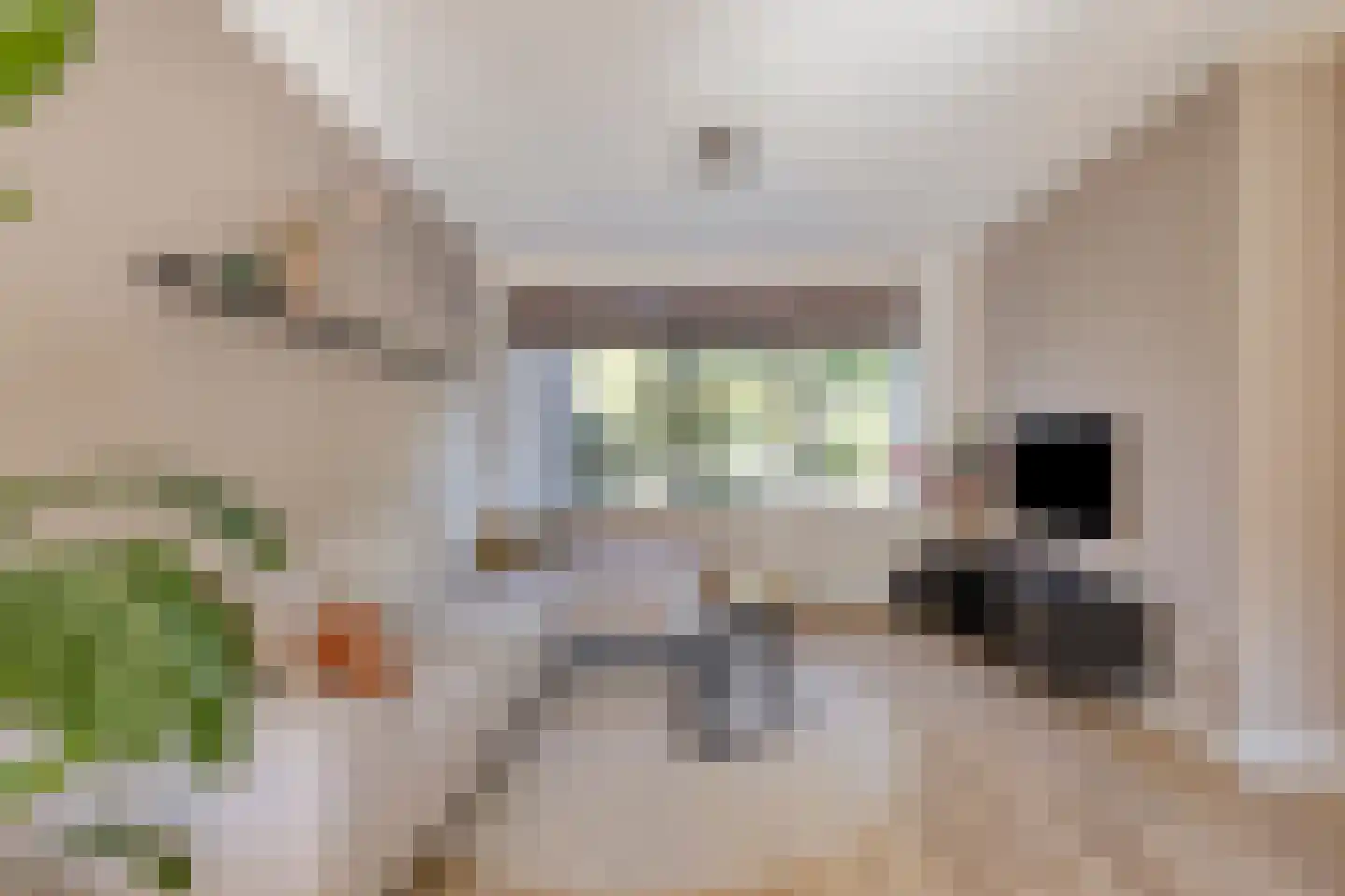 Van 't Hoffstraat 104 Etten-Leur thumbnail 11