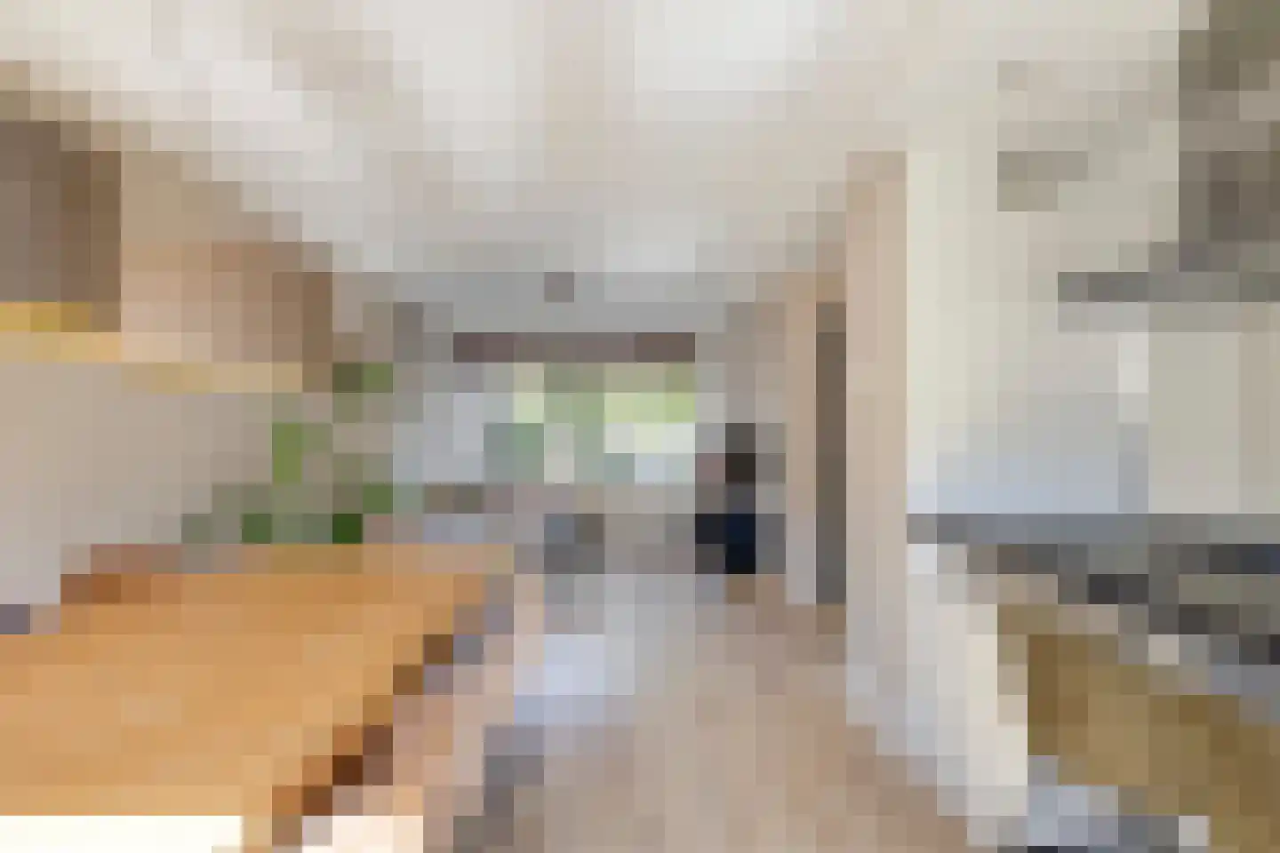 Van 't Hoffstraat 104 Etten-Leur thumbnail 15