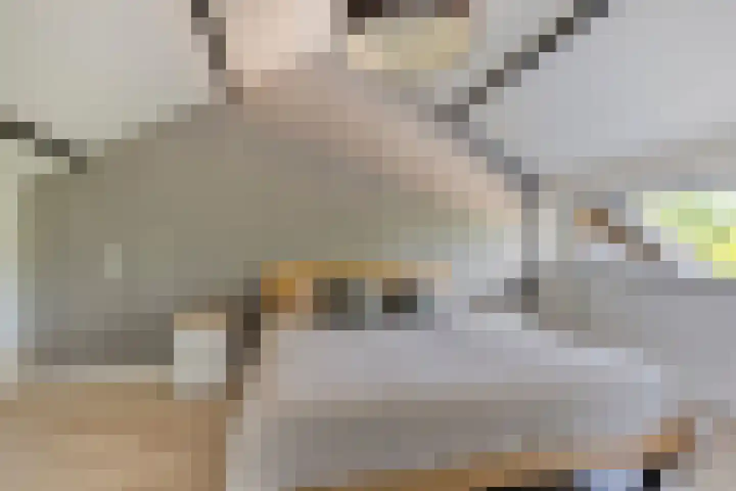 Van 't Hoffstraat 104 Etten-Leur thumbnail 33