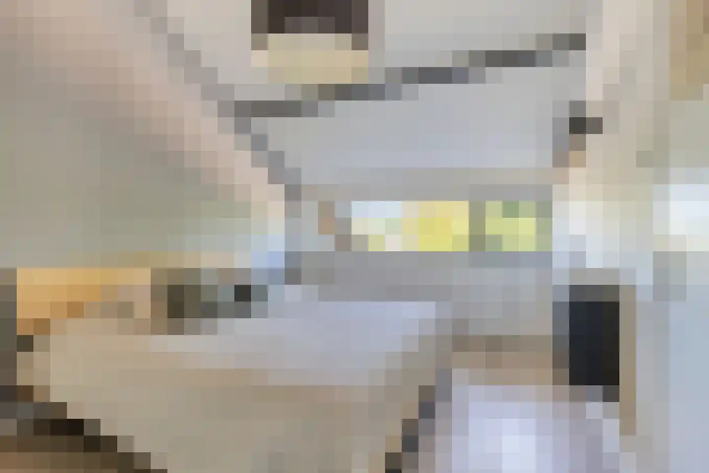 Van 't Hoffstraat 104 Etten-Leur thumbnail 34