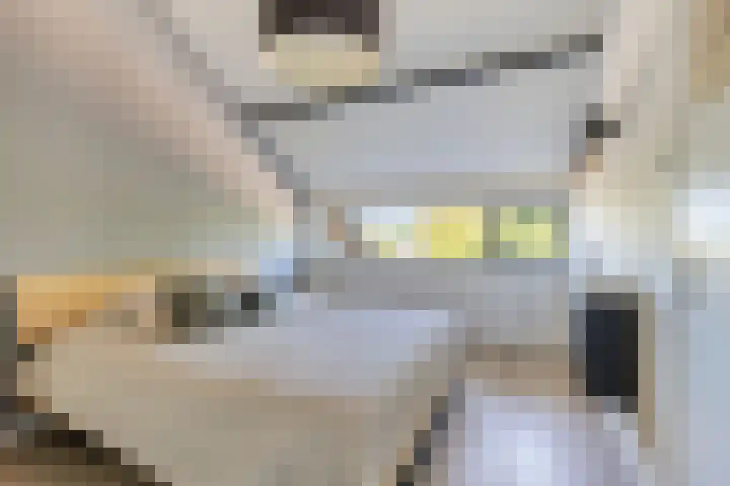 Van 't Hoffstraat 104 Etten-Leur thumbnail 4