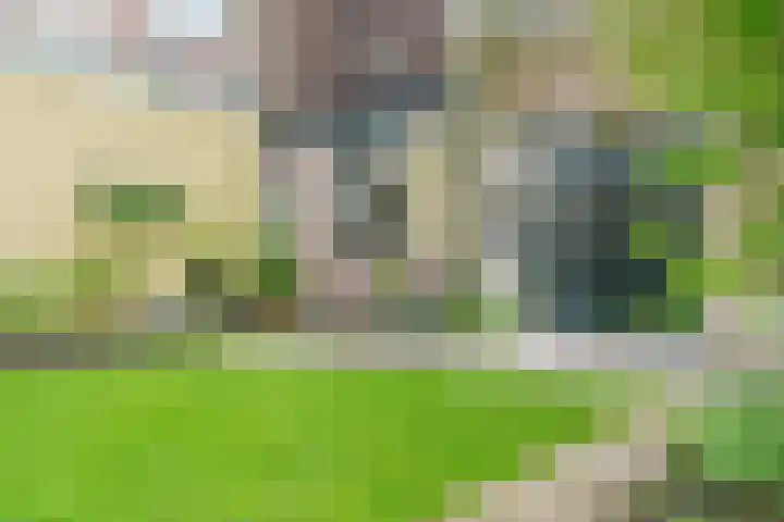 Van 't Hoffstraat 113 Haarlem thumbnail 26