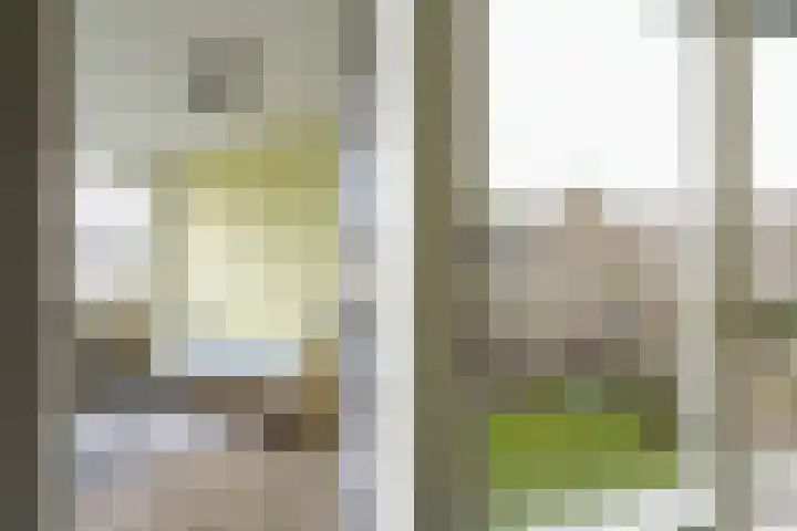 Van 't Hoffstraat 113 Haarlem thumbnail 36