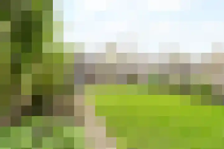 Van 't Hoffstraat 113 Haarlem thumbnail 4