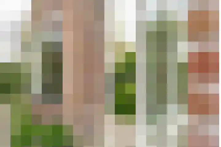 Van 't Hoffstraat 113 Haarlem thumbnail 7