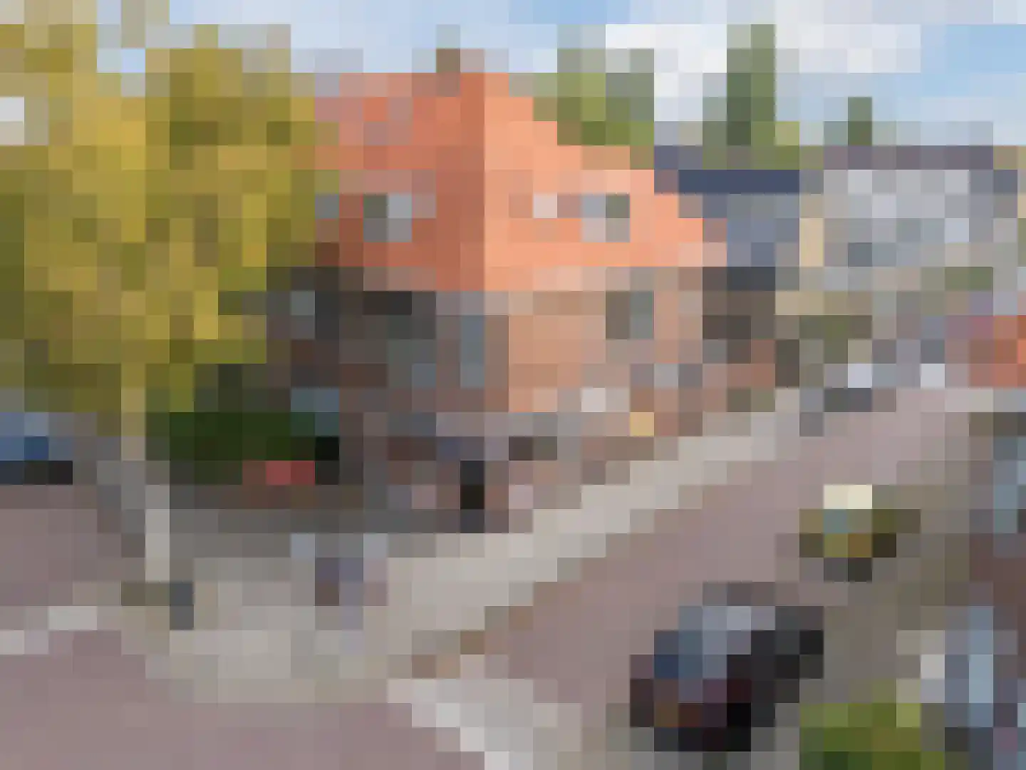 Van 't Hoffstraat 12 A Leiden thumbnail 41