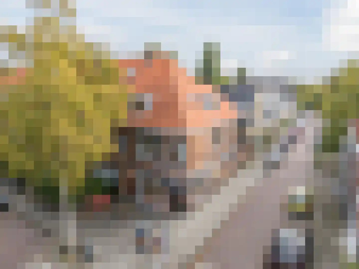 Van 't Hoffstraat 12 A Leiden thumbnail 42