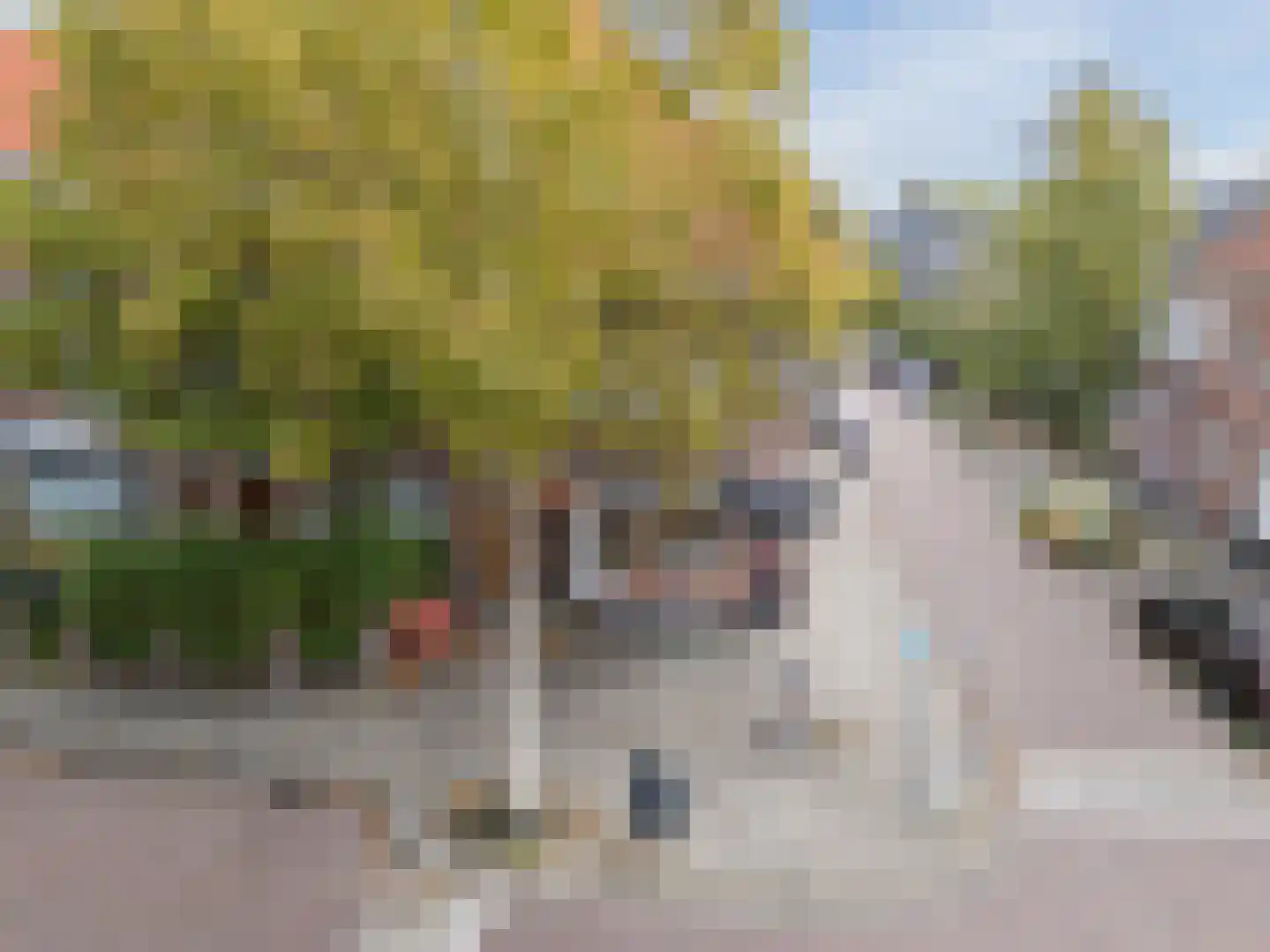Van 't Hoffstraat 12 A Leiden thumbnail 43
