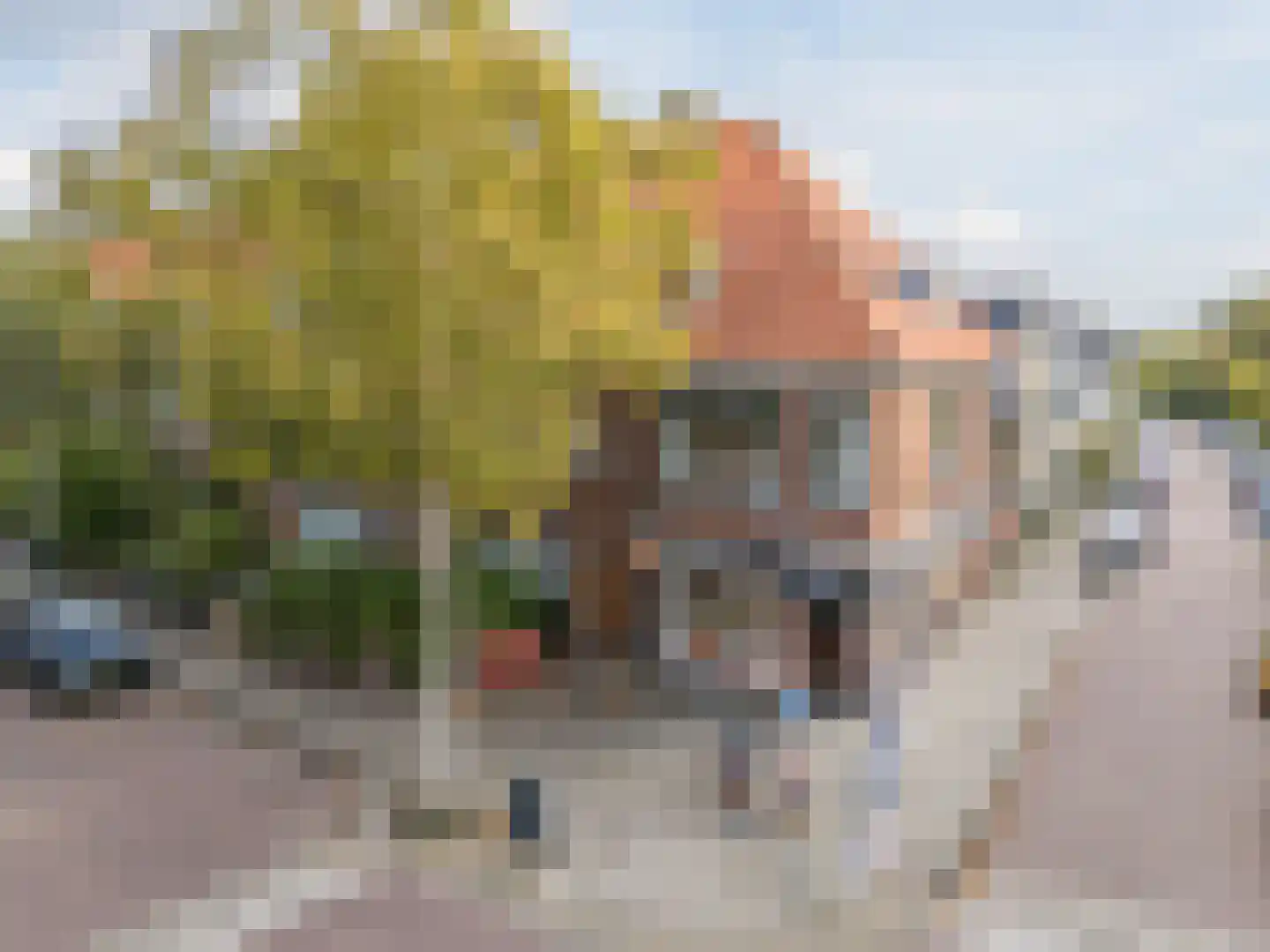 Van 't Hoffstraat 12 A Leiden thumbnail 8