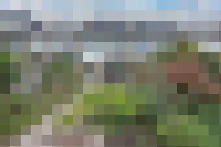 Van 't Hoffstraat 15 Badhoevedorp thumbnail 12
