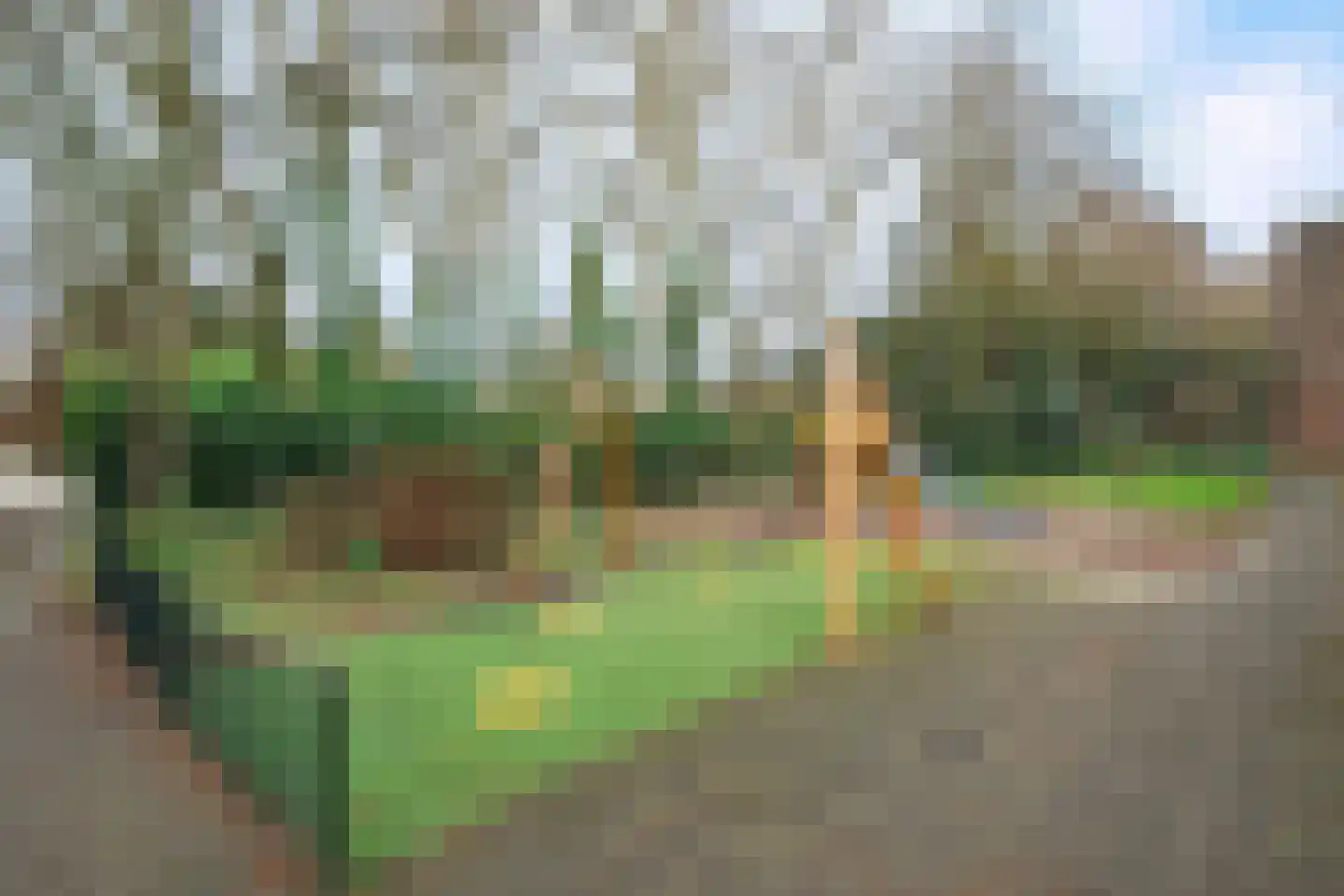 Van 't Hoffstraat 15 I Wageningen thumbnail 25