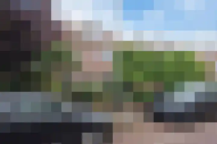 Van 't Hoffstraat 159 Haarlem thumbnail 4
