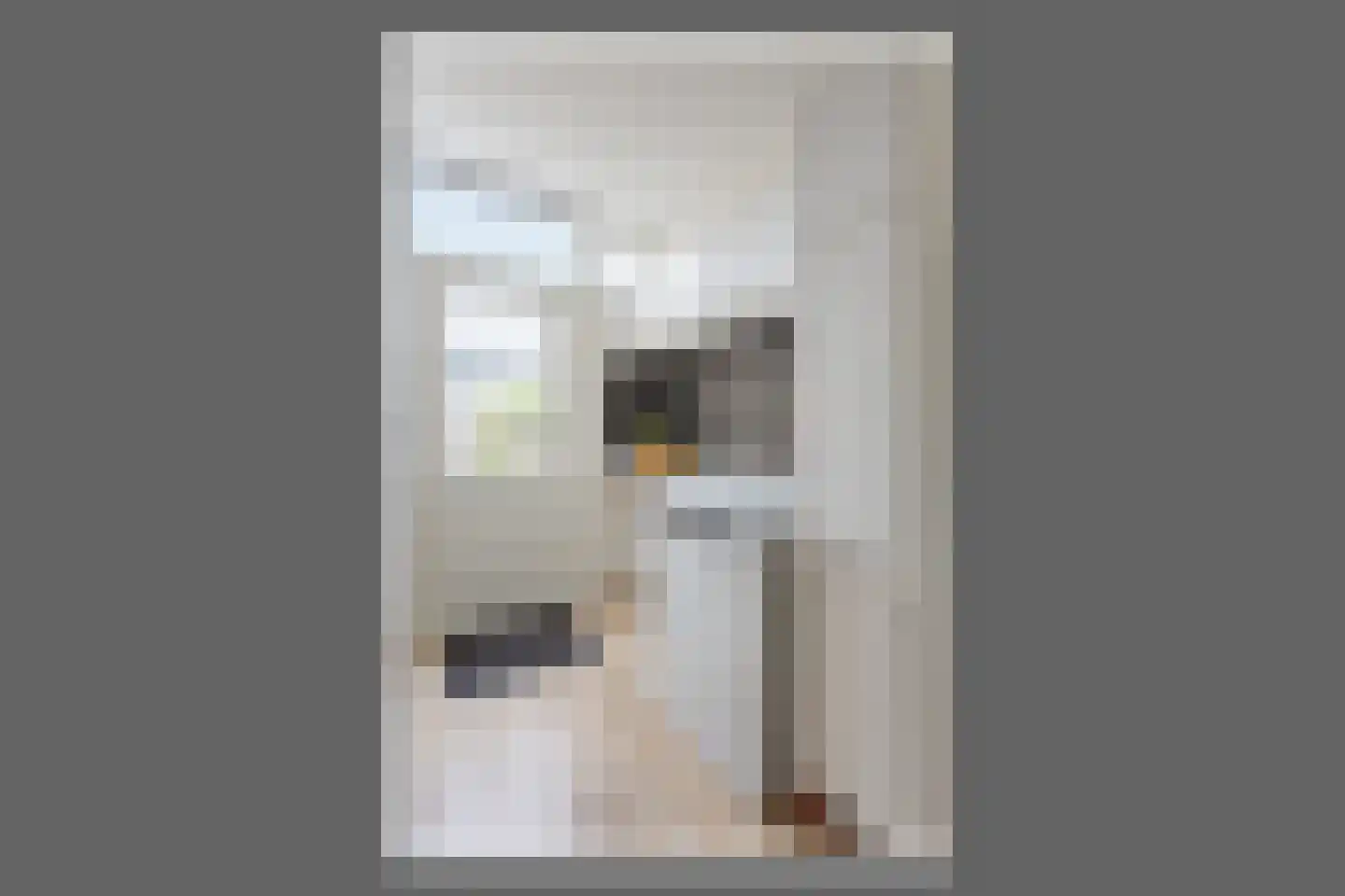 Van 't Hoffstraat 17 Badhoevedorp thumbnail 15